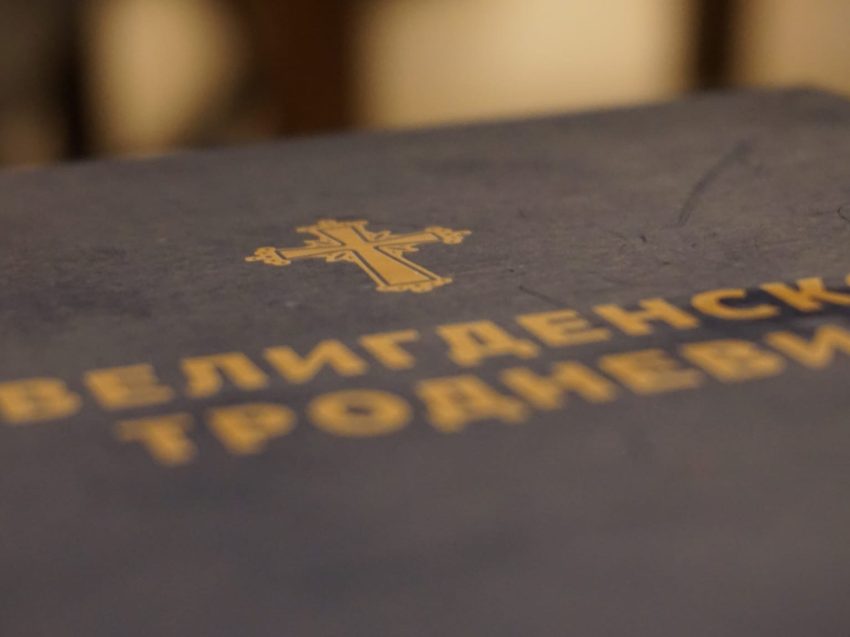 336469547_1236537007249998_2612870205168878309_n